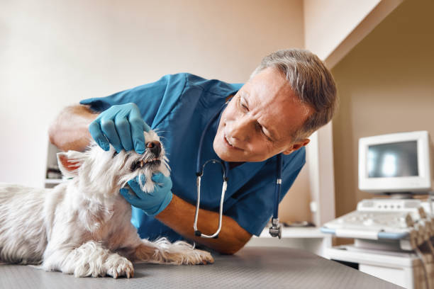 Best Emergency Denture Repair in Oviedo, FL